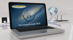 Free Eshop through ERDF