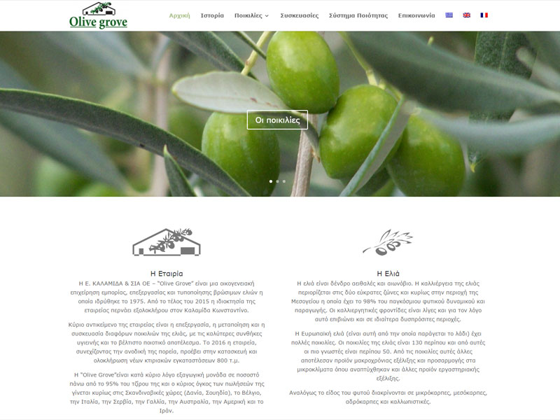 Olive Grove